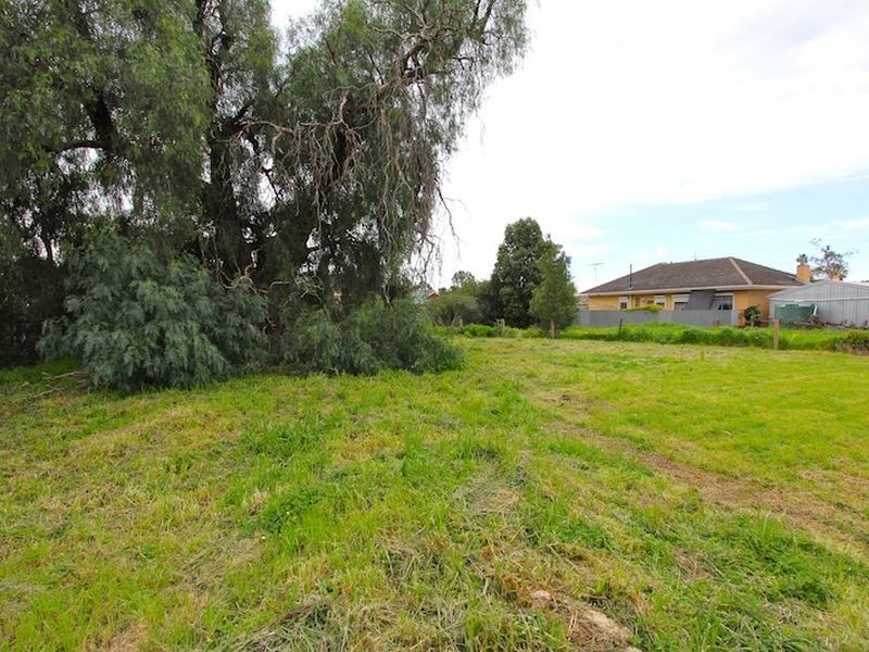 11 Eighteenth Street, Gawler South SA 5118