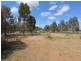 11 Horseshoe Drive, Roseworthy SA 5371