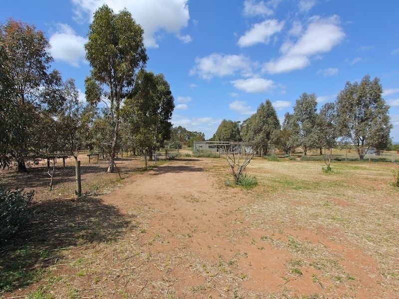 11 Horseshoe Drive, Roseworthy SA 5371