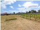 11 Horseshoe Drive, Roseworthy SA 5371