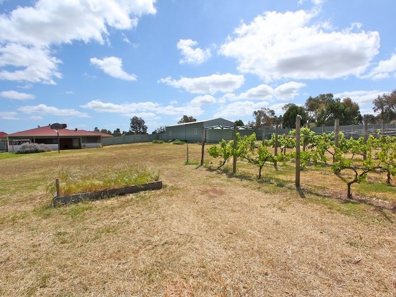 11 Horseshoe Drive, Roseworthy SA 5371