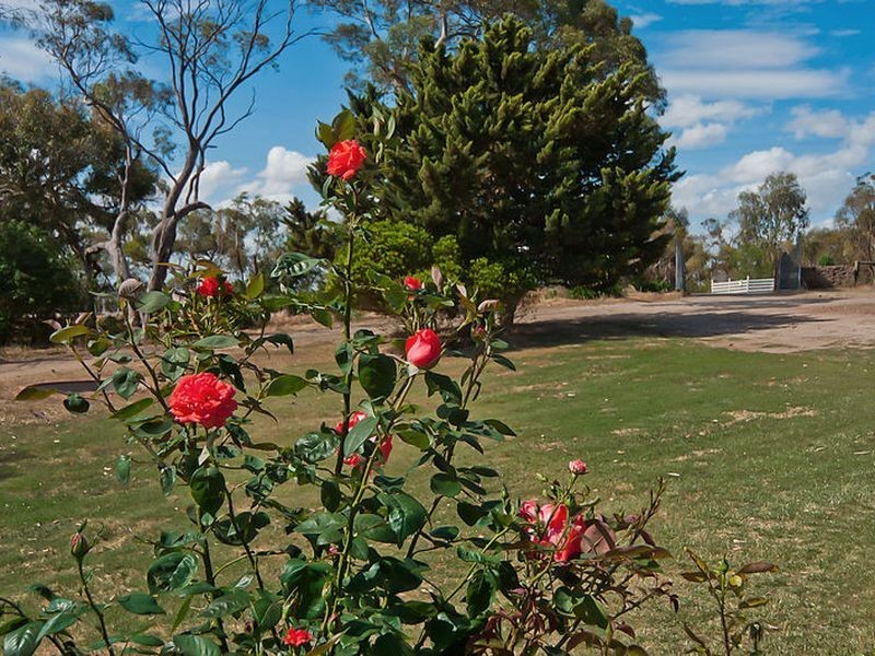 Lot 475 Alexander Avenue, Bibaringa SA 5118