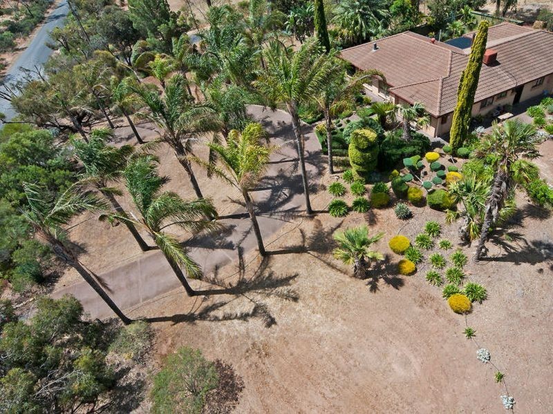 Lot 101 Clancy Road, Gawler Belt SA 5118