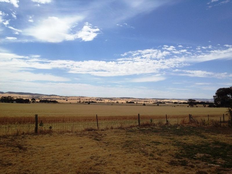 Lot 902 Fiddlewood Drive, Freeling SA 5372