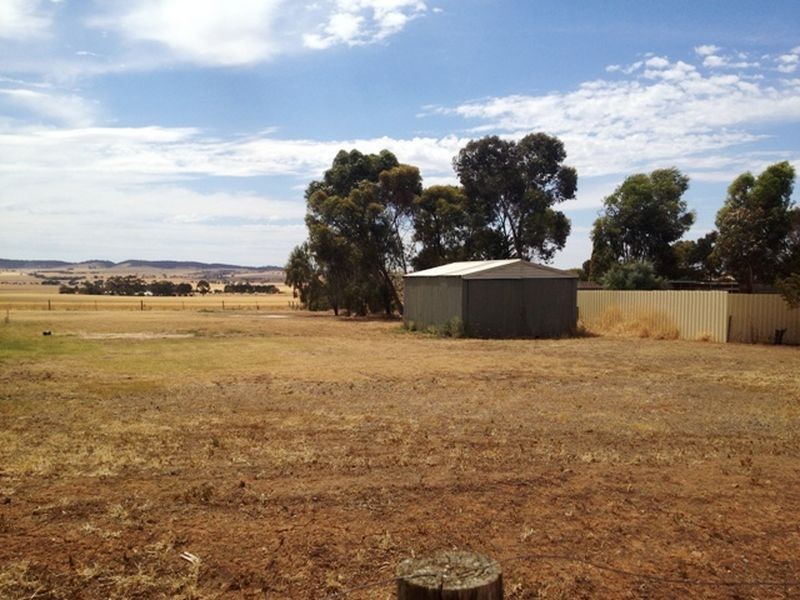 Lot 902 Fiddlewood Drive, Freeling SA 5372