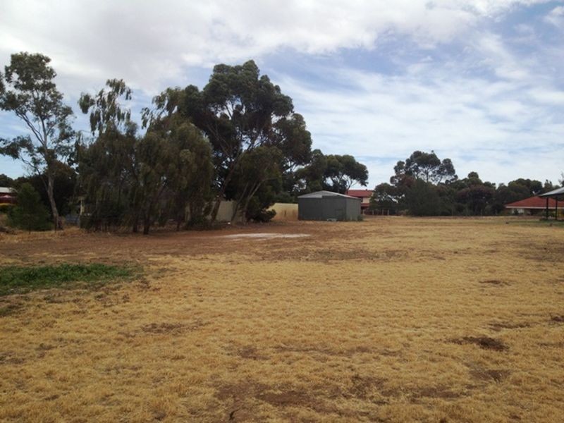 Lot 902 Fiddlewood Drive, Freeling SA 5372