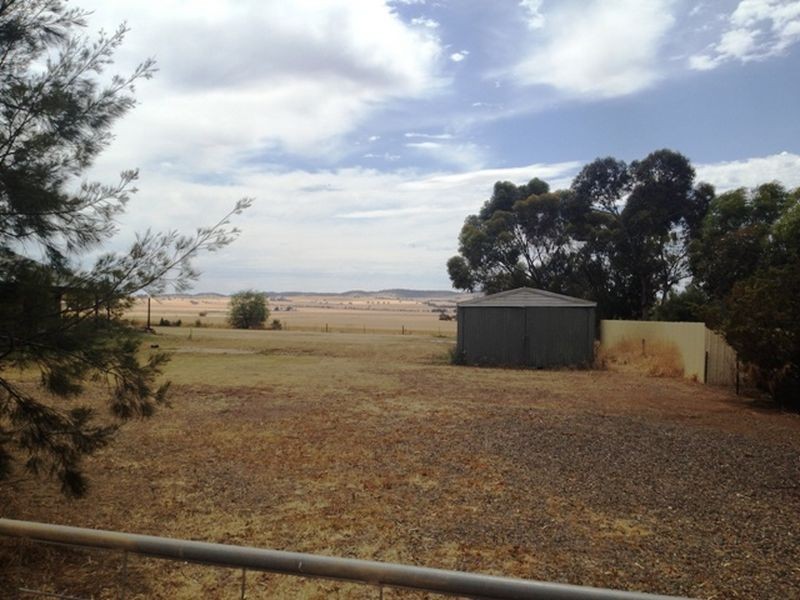 Lot 902 Fiddlewood Drive, Freeling SA 5372