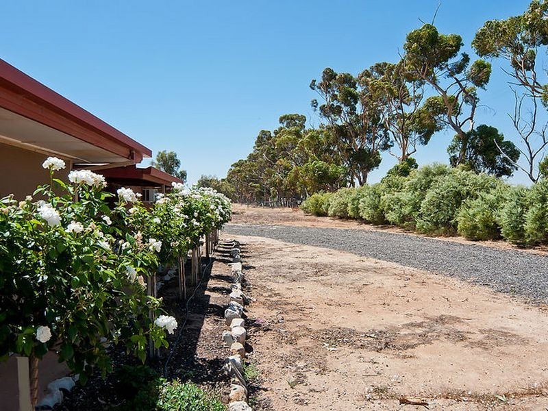 126 Hillier Road, Hillier SA 5116