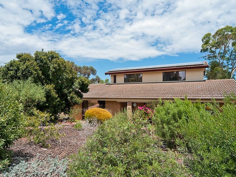 43 Coombe Street, Gawler East SA 5118