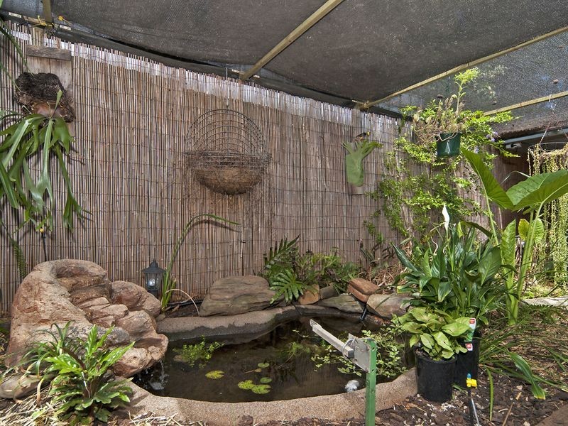 43 Coombe Street, Gawler East SA 5118