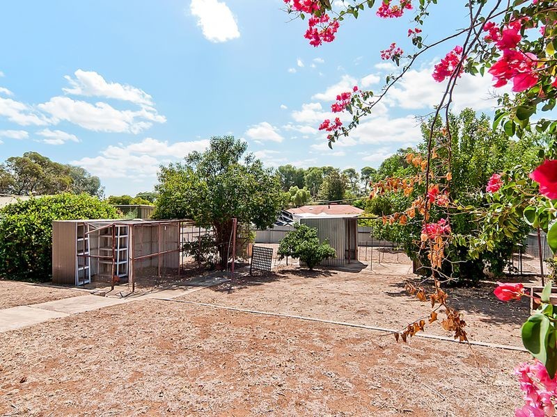 23 Duldig Avenue, Gawler East SA 5118