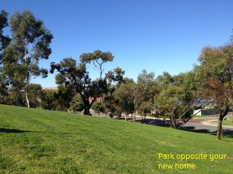 Lot 305 Shrike Place, Hewett SA 5118