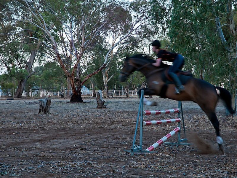 44 Bache Road, Reeves Plains SA 5502