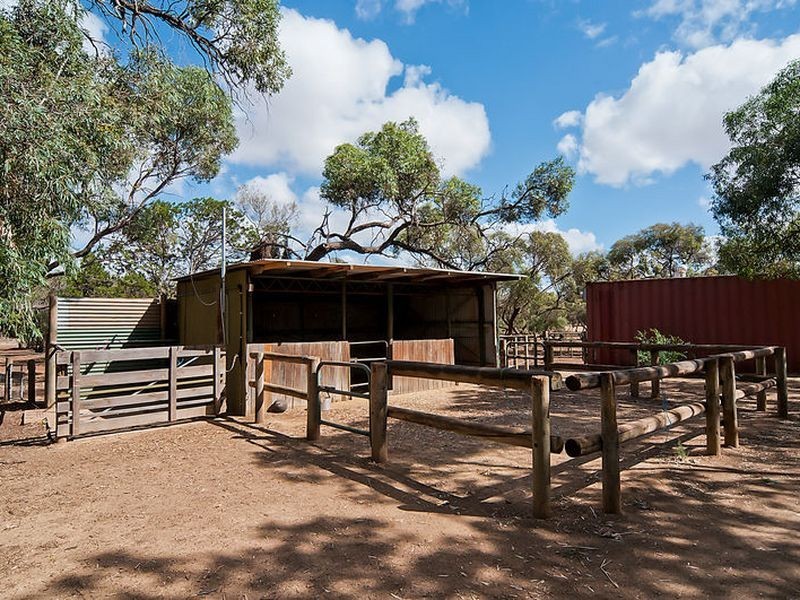 44 Bache Road, Reeves Plains SA 5502