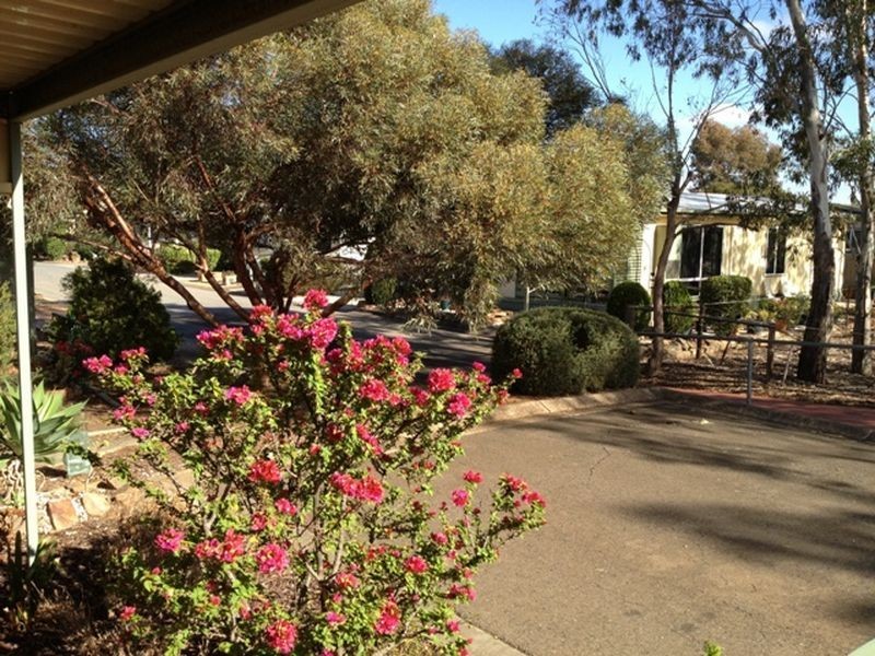 280 Banksia Street, Hillier SA 5116