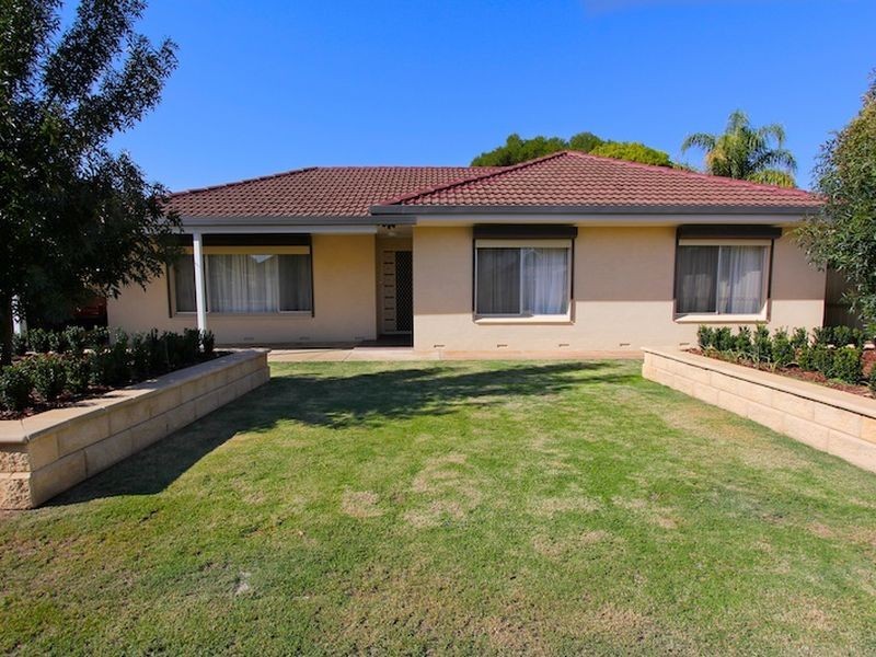 17 Paxton Street, Willaston SA 5118