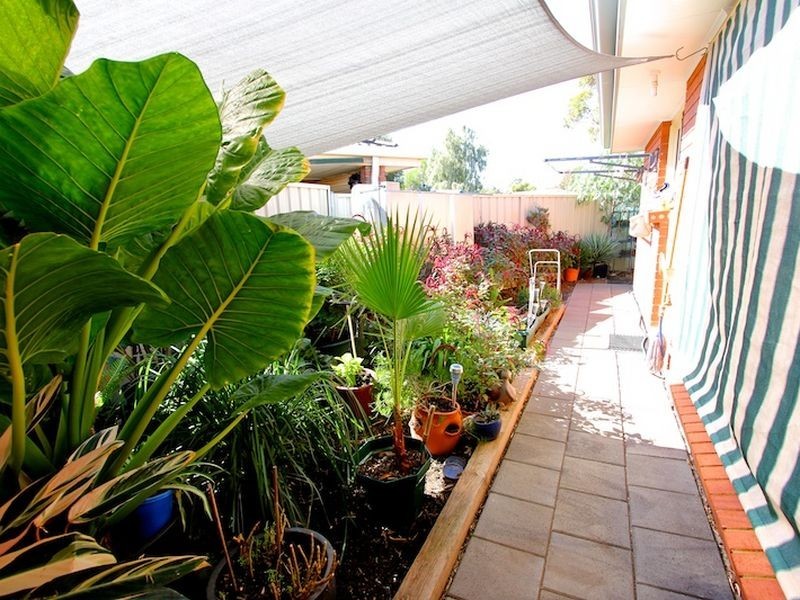 1A Young Terrace, Evanston Gardens SA 5116