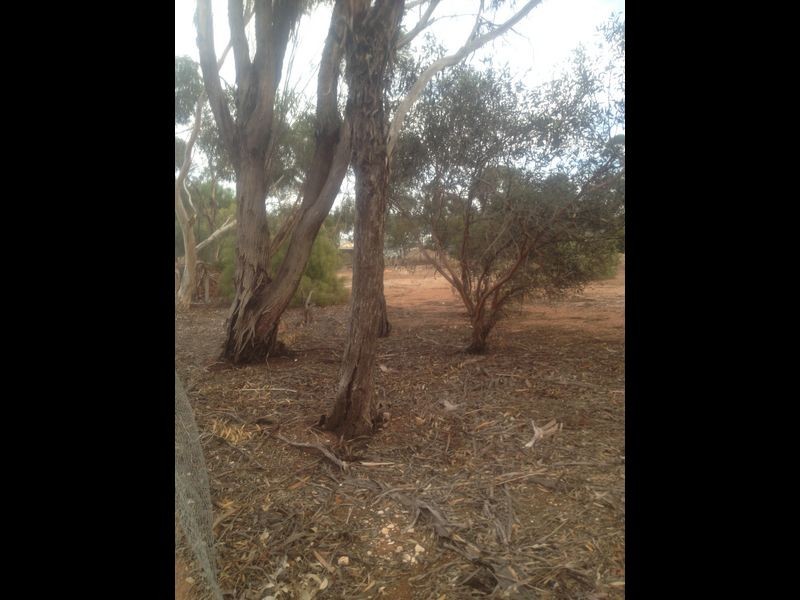 Lot 102 Horrocks Highway, Templers SA 5371