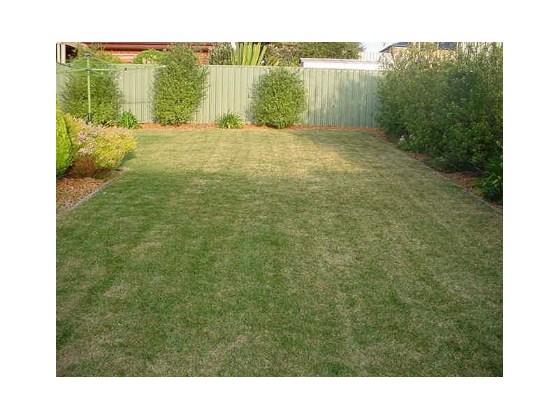 16 Gosling Court, Williamstown SA 5351