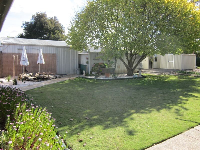 53 Borrow Street, Freeling SA 5372