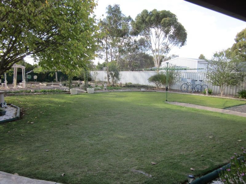 53 Borrow Street, Freeling SA 5372