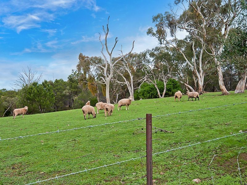 12 Whiteman Road, Williamstown SA 5351