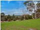 12 Whiteman Road, Williamstown SA 5351