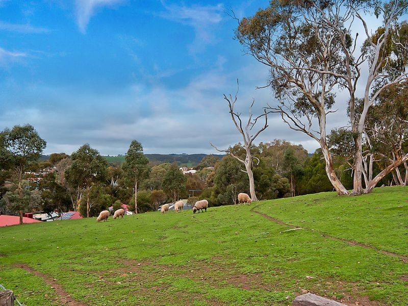 12 Whiteman Road, Williamstown SA 5351