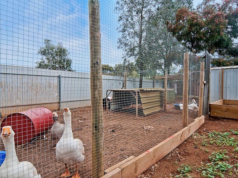 7 Geoffrey Street, Lewiston SA 5501