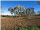Lot 1/3 Ronda Avenue, Roseworthy SA 5371