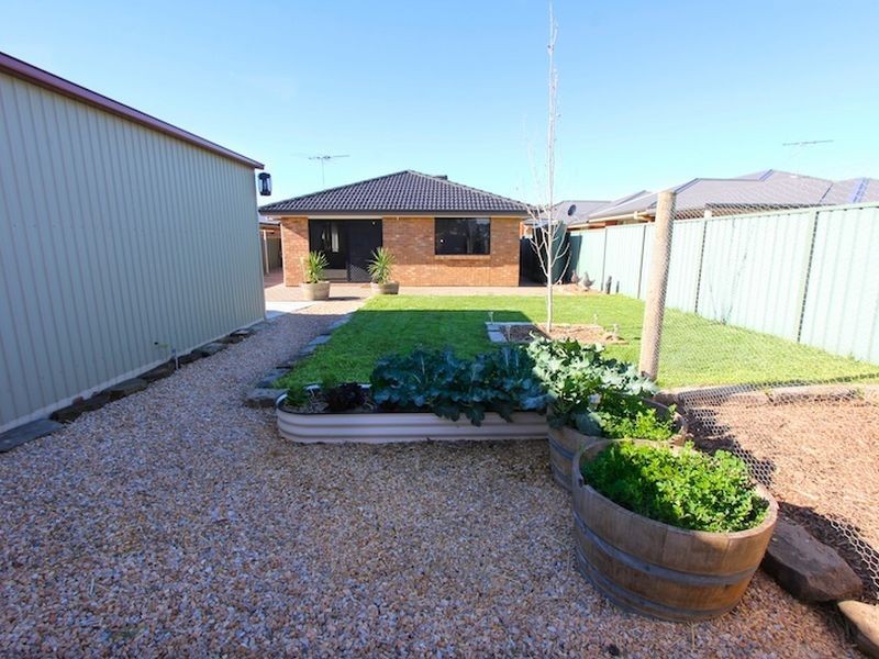 7 Osborne Street, Evanston Gardens SA 5116