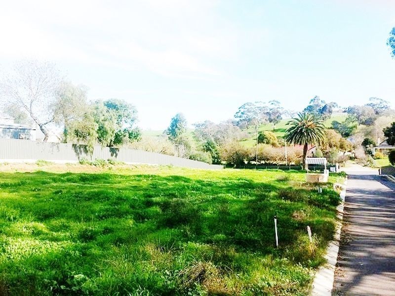 Lot 1/26 Moculta Road, Angaston SA 5353