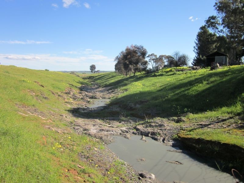 Lot 3 Daveys Road, Hansborough SA 5374