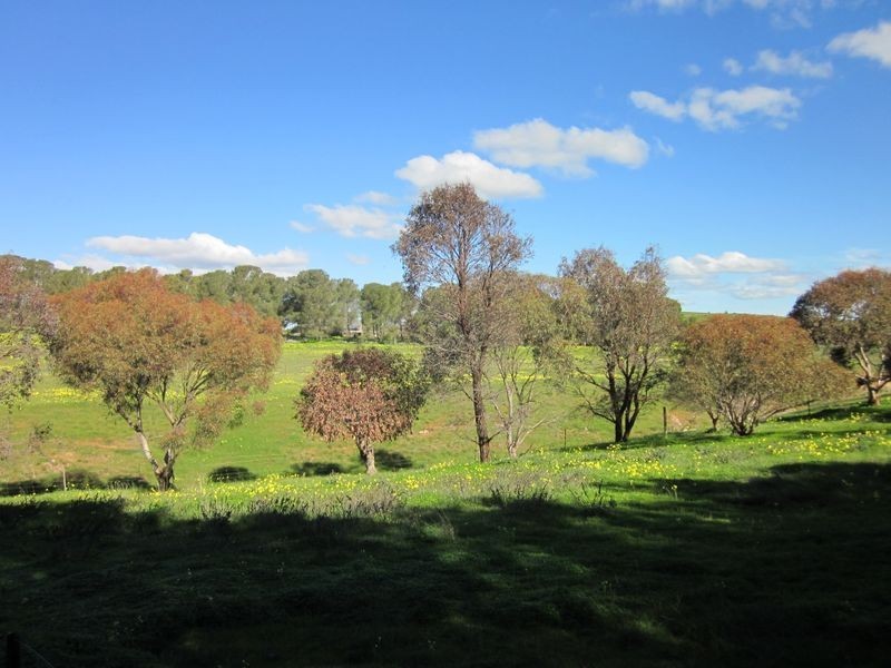 Lot 3 Daveys Road, Hansborough SA 5374
