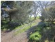 Lot 3 Daveys Road, Hansborough SA 5374