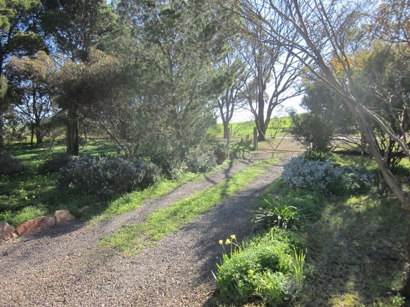 Lot 3 Daveys Road, Hansborough SA 5374