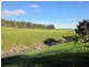 Lot 3 Daveys Road, Hansborough SA 5374