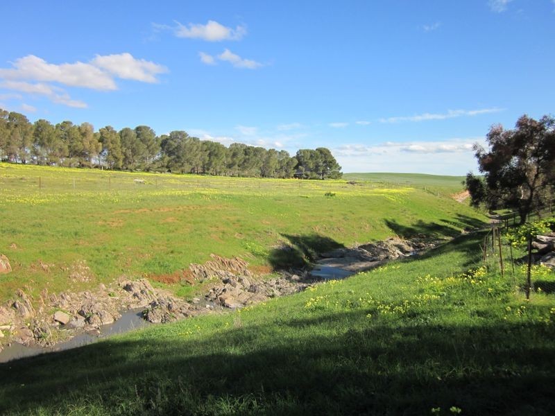 Lot 3 Daveys Road, Hansborough SA 5374