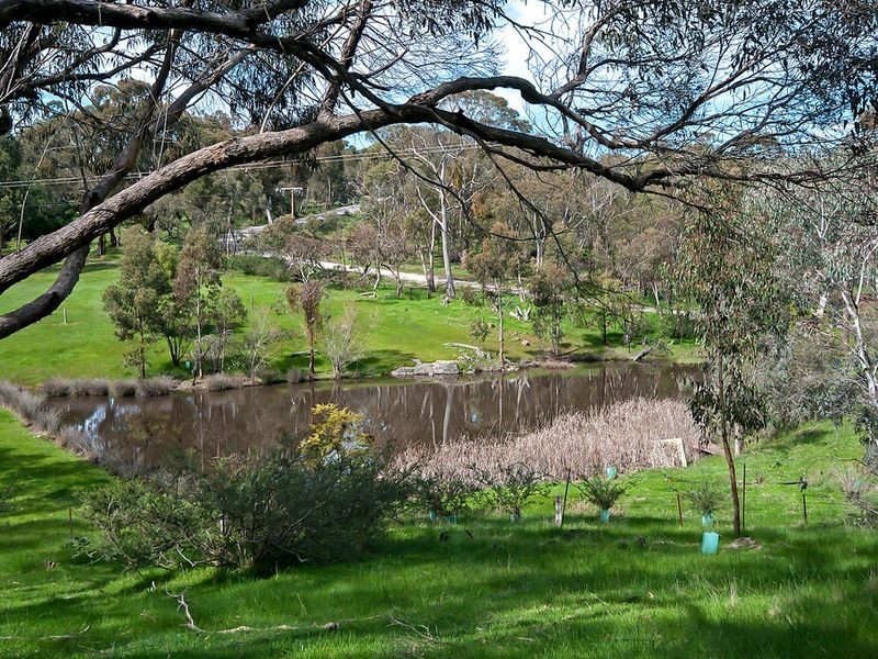 25 Sheoak Road (Humbug Scrub), One Tree Hill SA 5114