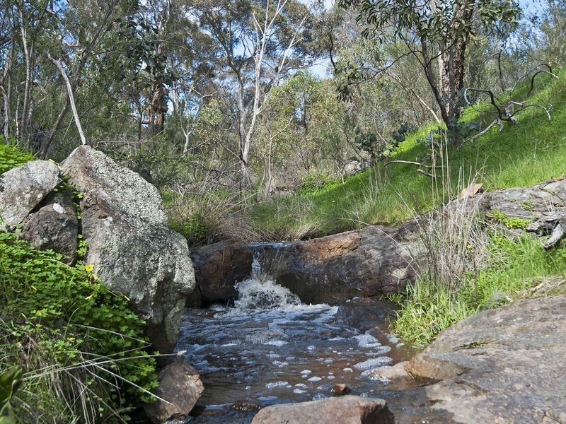 25 Sheoak Road (Humbug Scrub), One Tree Hill SA 5114