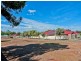 Lot 601 Kapunda Street, Kapunda SA 5373