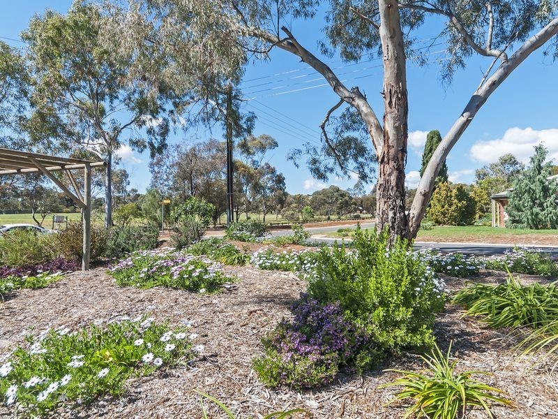 31 Hemaford Grove, Gawler East SA 5118