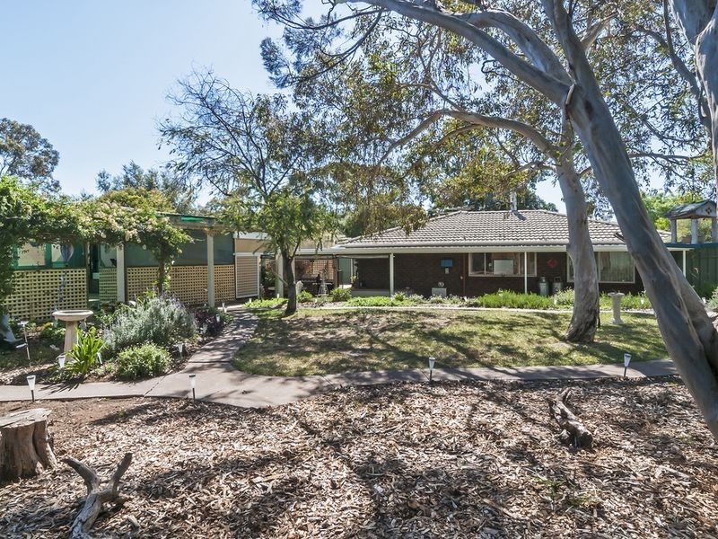 31 Hemaford Grove, Gawler East SA 5118