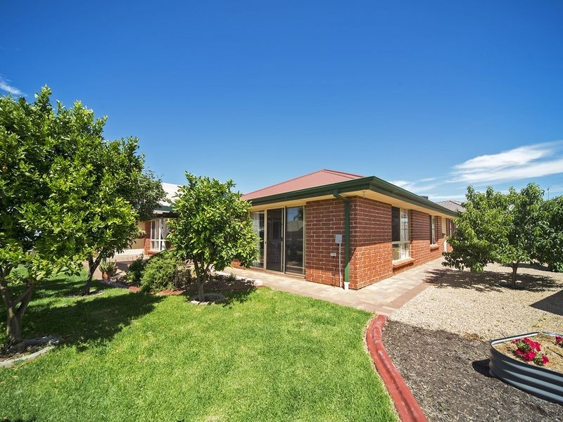 6 Angas Avenue, Evanston Park SA 5116