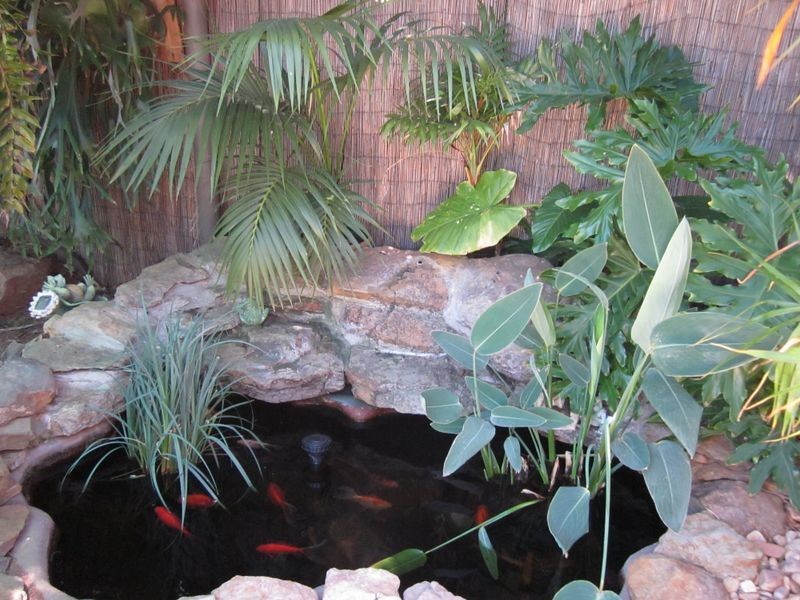 8 Purcell Grove, Evanston Park SA 5116