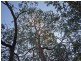 61F Gottwald Road, Williamstown SA 5351
