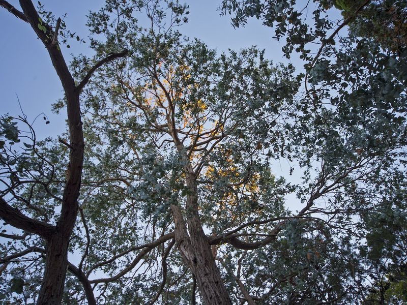 61F Gottwald Road, Williamstown SA 5351