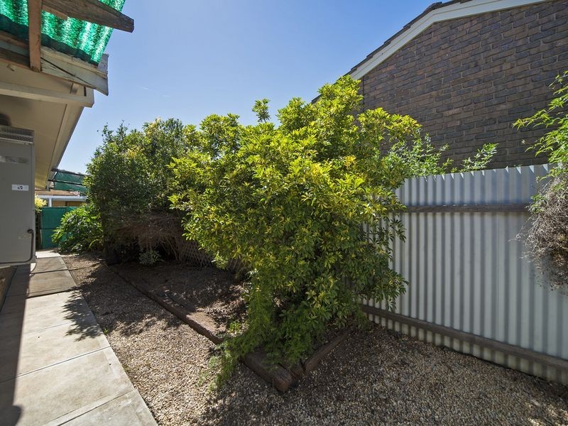 4A Ayling Street, Willaston SA 5118
