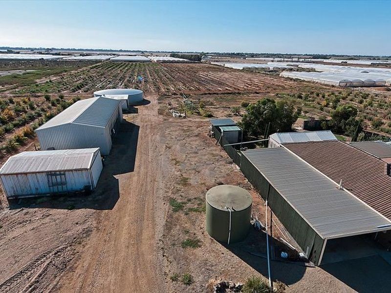 86 Nemesis Court, Buckland Park SA 5120