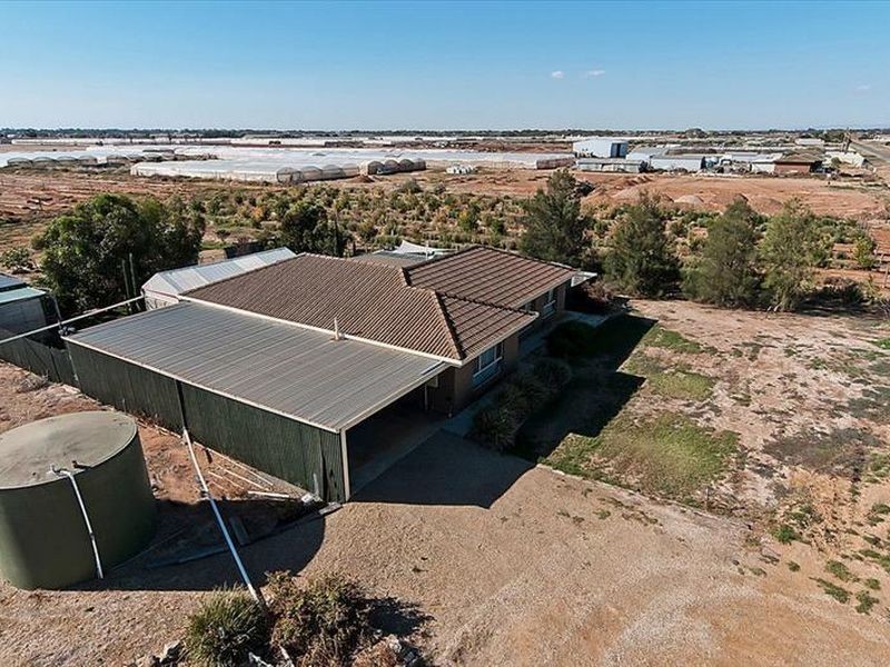 86 Nemesis Court, Buckland Park SA 5120